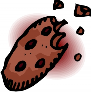 chocolate chip cookie.jpg